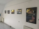 IMG_20190408_133154.jpg