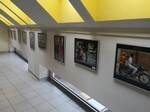 IMG_20190408_133203.jpg
